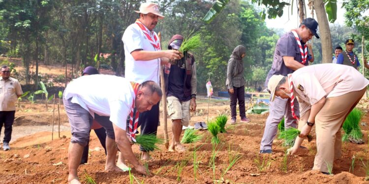 Semangat Swasembada Jamnas XII 2026, Kwarnas Siapkan Edukasi Peserta dengan Penanaman Padi Perdana