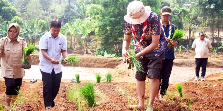 Semangat Swasembada Jamnas XII 2026, Kwarnas Siapkan Edukasi Peserta dengan Penanaman Padi Perdana