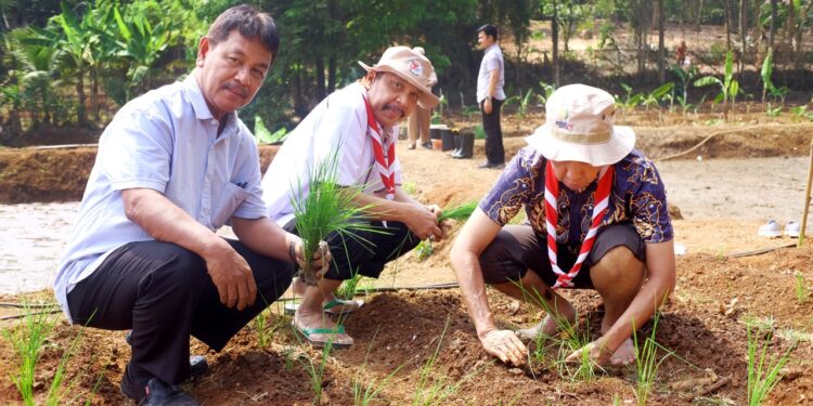 Semangat Swasembada Jamnas XII 2026, Kwarnas Siapkan Edukasi Peserta dengan Penanaman Padi Perdana