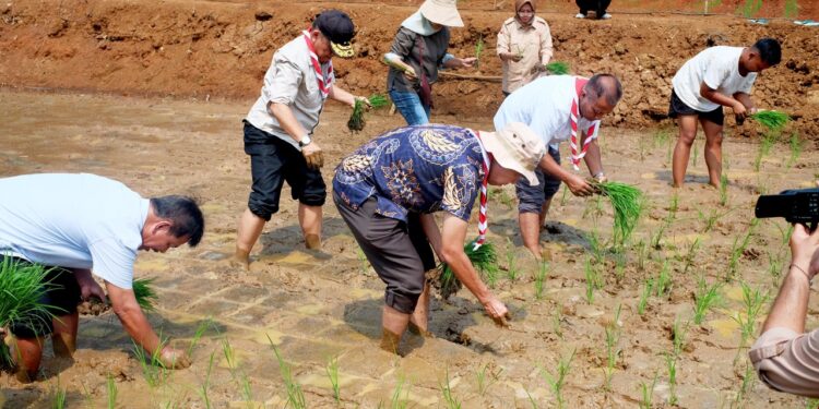 Semangat Swasembada Jamnas XII 2026, Kwarnas Siapkan Edukasi Peserta dengan Penanaman Padi Perdana
