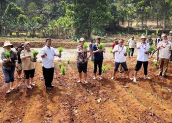 Semangat Swasembada Jamnas XII 2026, Kwarnas Siapkan Edukasi Peserta dengan Penanaman Padi Perdana