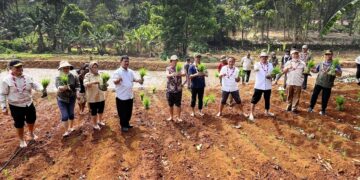 Semangat Swasembada Jamnas XII 2026, Kwarnas Siapkan Edukasi Peserta dengan Penanaman Padi Perdana