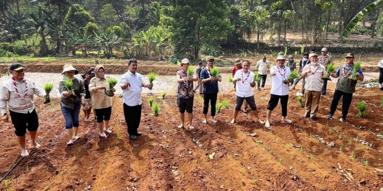 Semangat Swasembada Jamnas XII 2026, Kwarnas Siapkan Edukasi Peserta dengan Penanaman Padi Perdana