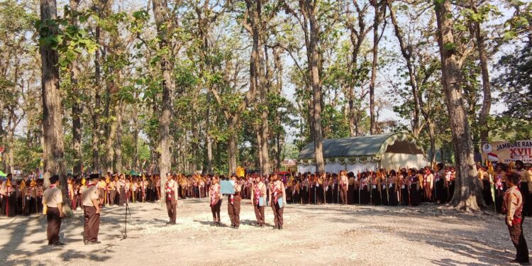 Keliling Hutan, Serunya Penjelajahan Jambore Ranting Pulokulon