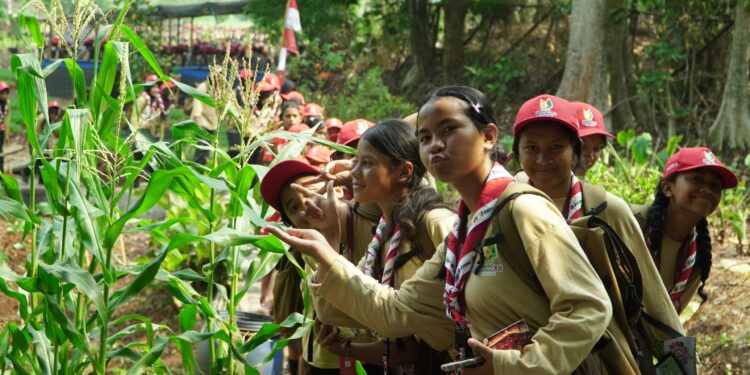 Kampung Pertanian Terpadu Jamnas XII 2026, Kenalkan Pertanian Modern kepada Pramuka Penggalang