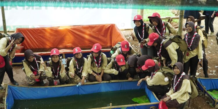 Kampung Pertanian Terpadu Jamnas XII 2026, Kenalkan Pertanian Modern kepada Pramuka Penggalang