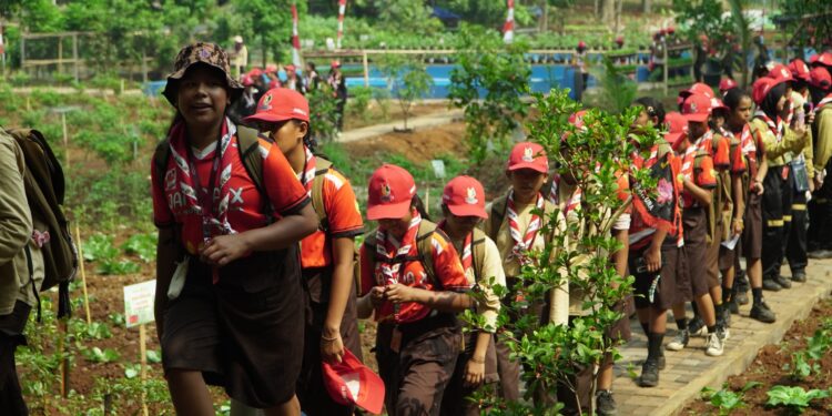 Kampung Pertanian Terpadu Jamnas XII 2026, Kenalkan Pertanian Modern kepada Pramuka Penggalang