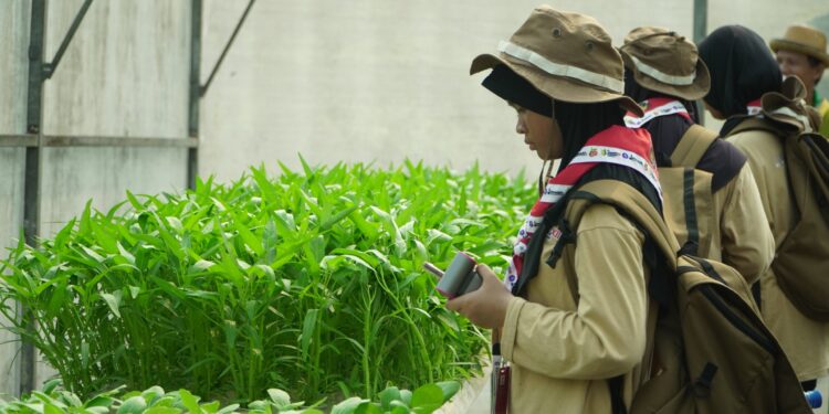 Kampung Pertanian Terpadu Jamnas XII 2026, Kenalkan Pertanian Modern kepada Pramuka Penggalang