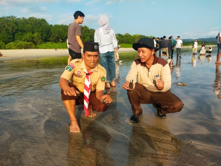 50 Pramuka Penegak Belajar Konservasi Lewat Rilis 1.945 Tukik di TN Alas Purwo