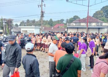 Gerakan Serentak Tiga Kwartir, Pramuka Gianyar Gelar Aksi Bakti Lingkungan di Ubud, Payangan, dan Tegalalang