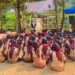 Perkuat Karakter dan Kemandirian, Gugus Depan SMAN 1 Jatitujuh Gelar Perkemahan Pengukuhan Calon Penegak