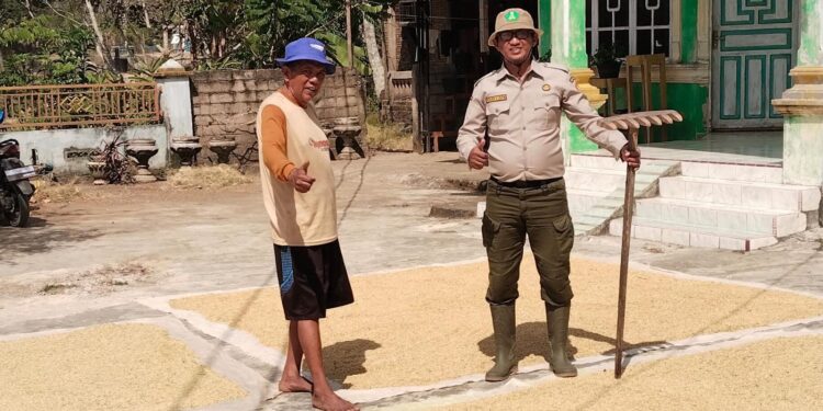 Saka Tarunabumi Bone Siapkan Laboratorium Lapang, Cetak Pramuka Cinta Pertanian