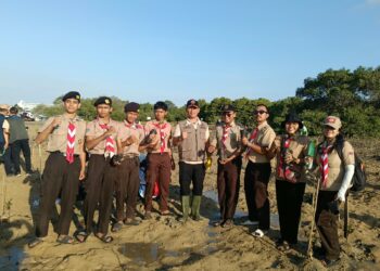 Hijaukan Pesisir Badung demi Mitigasi Bencana Berkelanjutan Pramuka Peduli Kwarda Bali Tanam Mangrove di Pulau Pudut Tanjung Benoa